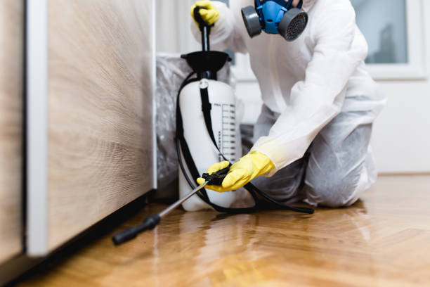 Best Wildlife Control Services  in Pasadena, MD