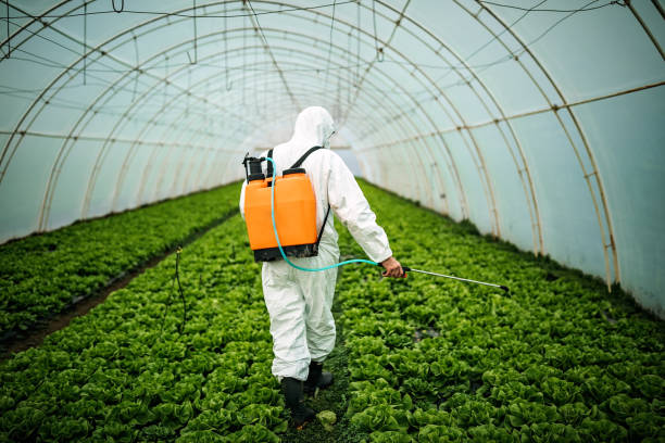 Best Mosquito Control Services  in Pasadena, MD