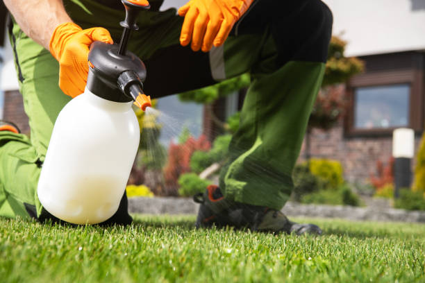 Best Pest Prevention Services  in Pasadena, MD