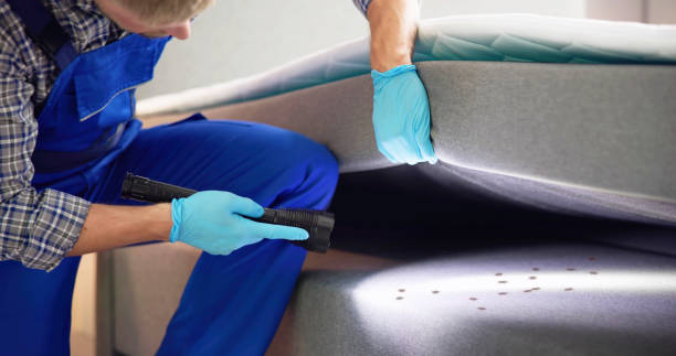 Best Bed Bug Extermination  in Pasadena, MD