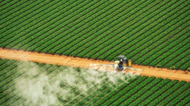 Best Pest Control for Businesses  in Pasadena, MD