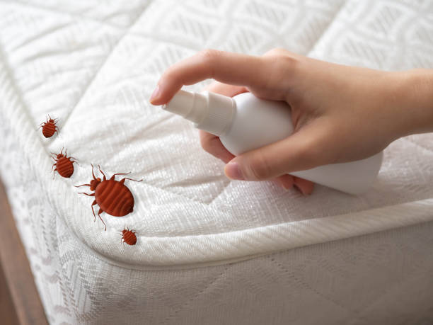 Best Wasp Removal Services  in Pasadena, MD