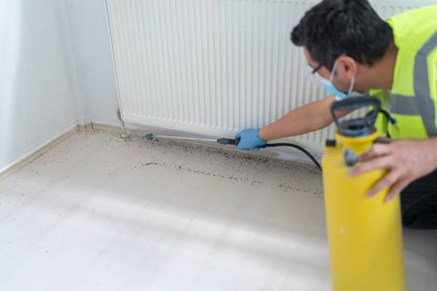 Best Cockroach Control Services  in Pasadena, MD